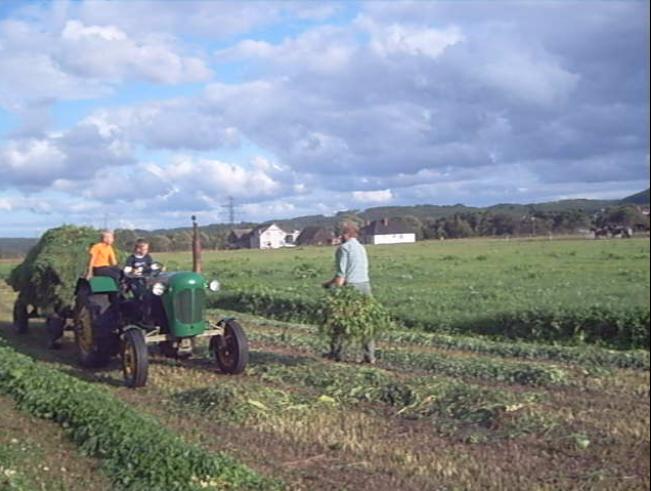 Ciągnik C328