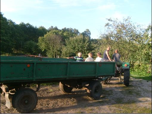 Ciągnik C328