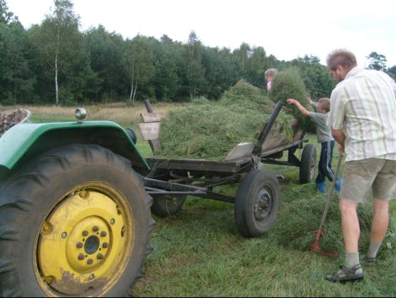 Ciągnik C328