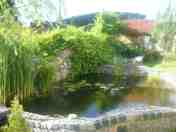Staw