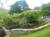 Staw