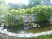 Staw