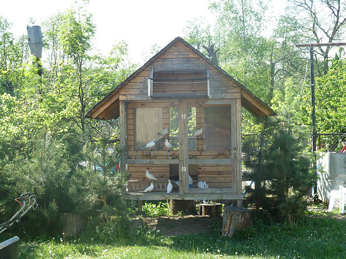 Winerek Polski